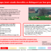 FichesResultats_NewDEAL_Vfin2020_rev_Page_11