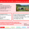 FichesResultats_NewDEAL_Vfin2020_rev_Page_13