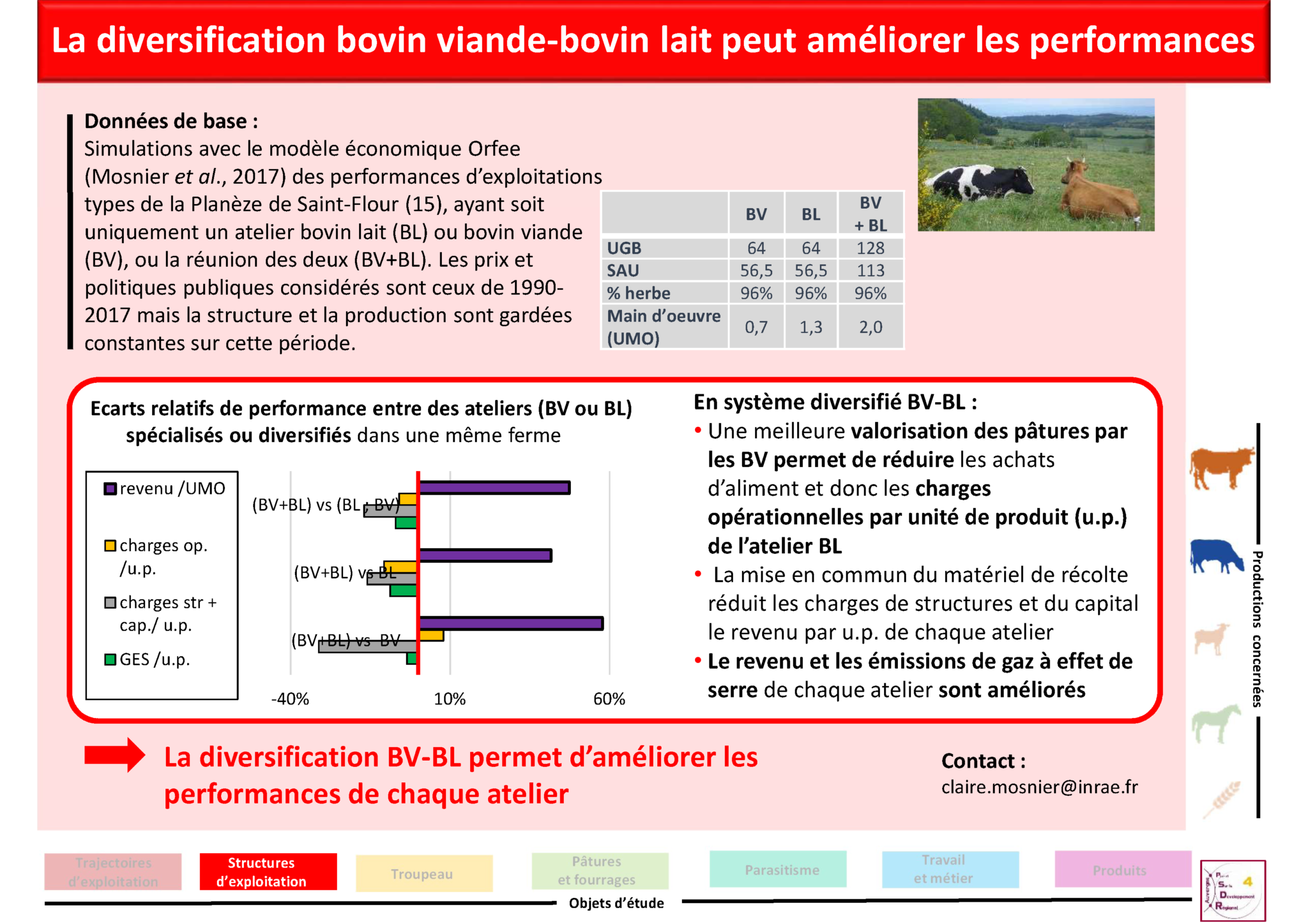 La Diversification Bovin Viande-bovin Lait Peut Améliorer Les ...