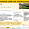 FichesResultats_NewDEAL_Vfin2020_rev_Page_22