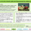 FichesResultats_NewDEAL_Vfin2020_rev_Page_26