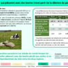 FichesResultats_NewDEAL_Vfin2020_rev_Page_33