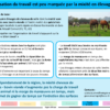 FichesResultats_NewDEAL_Vfin2020_rev_Page_36