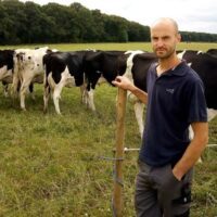 Grazing forage species while renewing pastures  